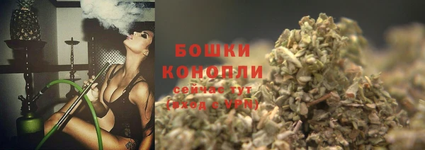 прущие крисы Кодинск