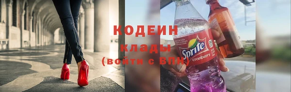 прущие грибы Козловка