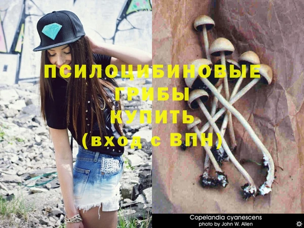 ALPHA-PVP Киреевск