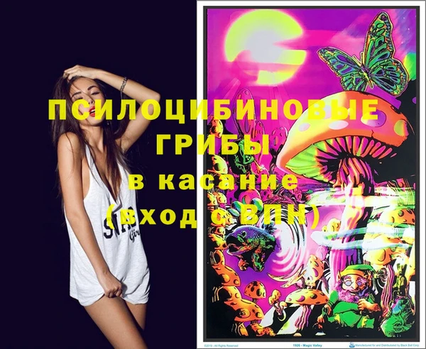 гидропоника Киренск