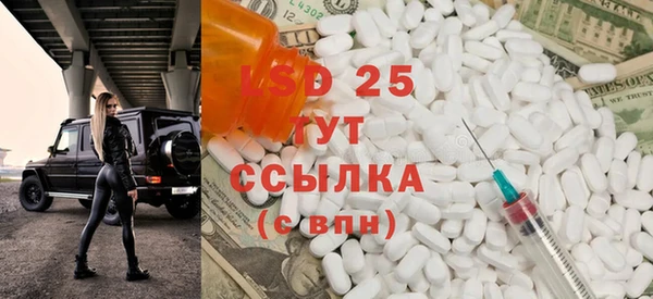 прущие грибы Козловка