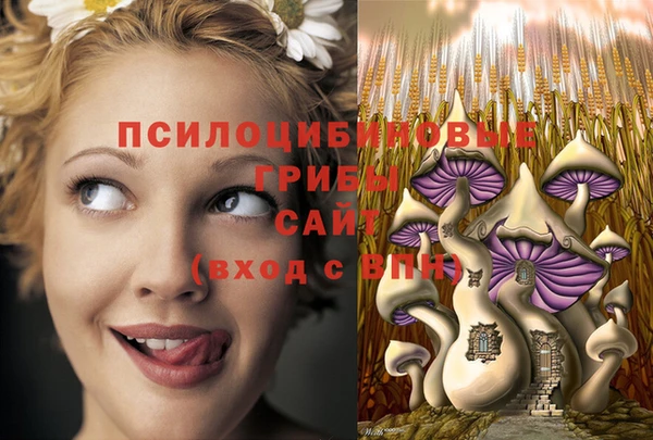 ALPHA-PVP Киреевск