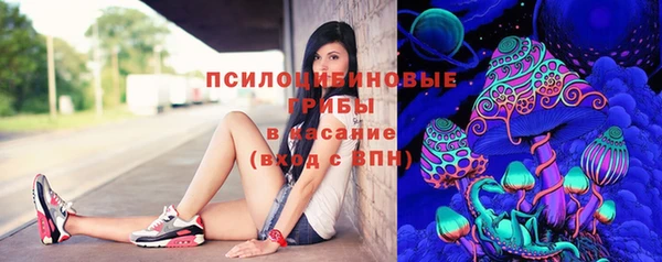 прущие грибы Козловка
